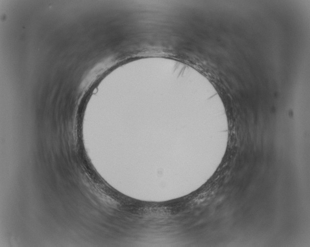 X0000062870296200602101658