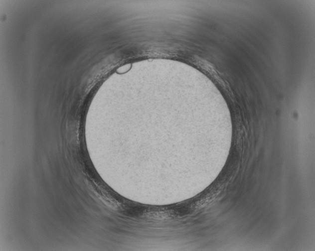 X0000062870299200602101658