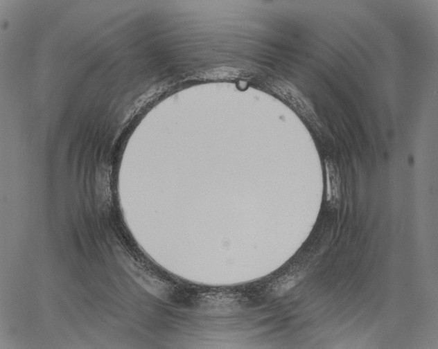 X0000062870300200602101658