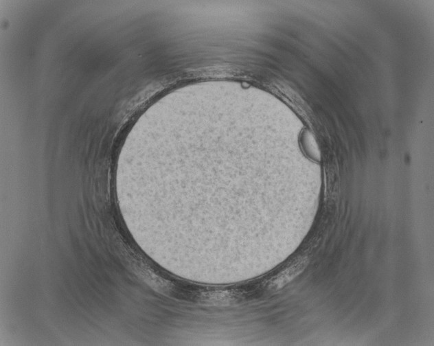 X0000062870301200602101658