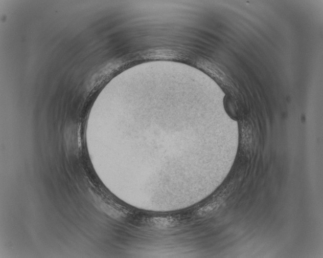 X0000062870302200602101658