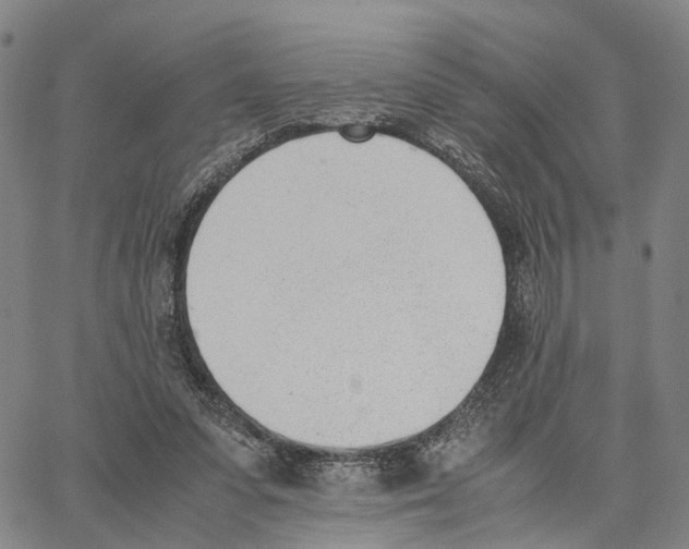 X0000062870303200602101658