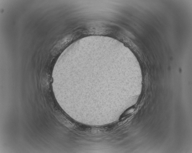 X0000062870305200602101658