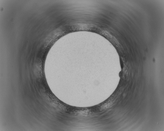 X0000062870306200602101658