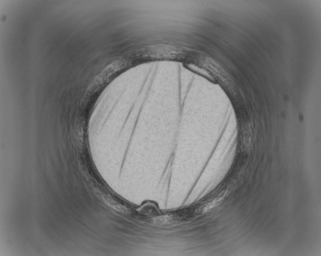 X0000062870309200602101658