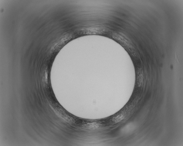 X0000062870310200602101658