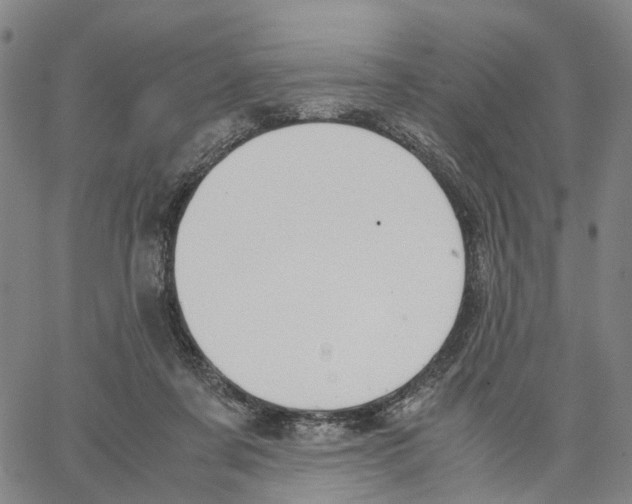 X0000062870311200602101658