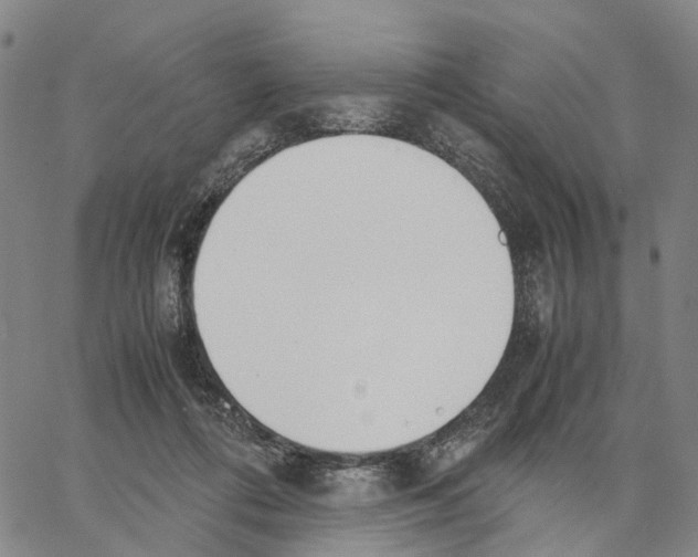 X0000062870312200602101658