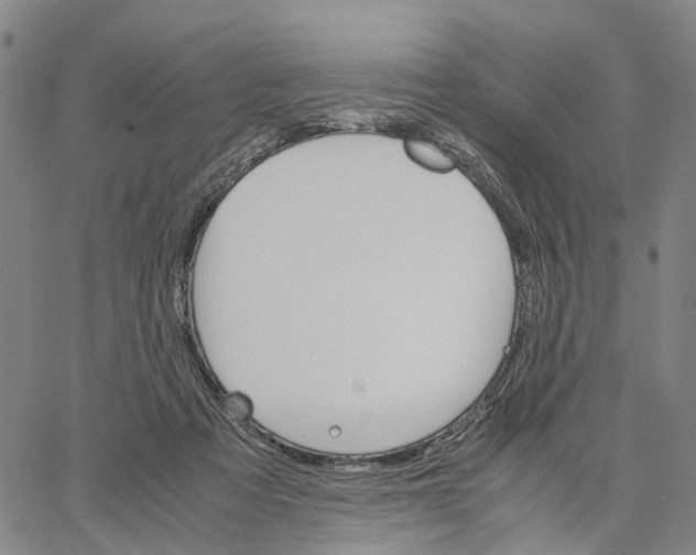 X0000062870313200602101658