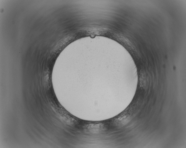 X0000062870314200602101658