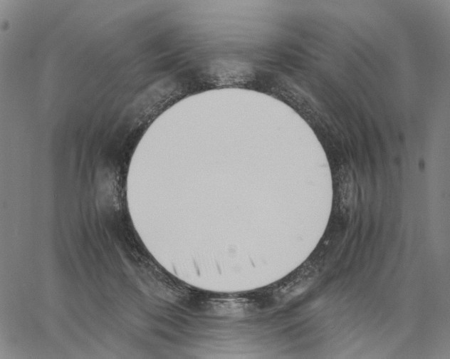 X0000062870316200602101658