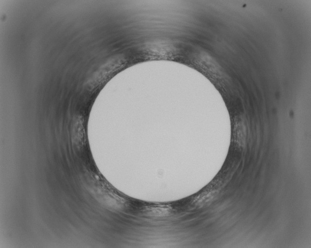 X0000062870318200602101658