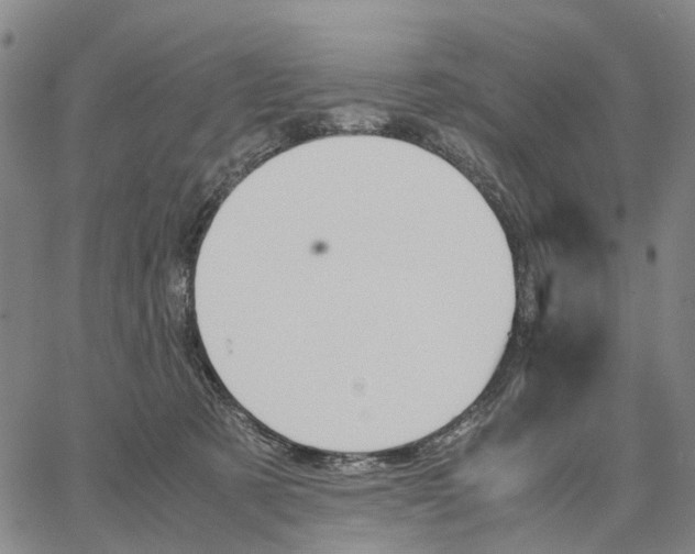 X0000062870321200602101658