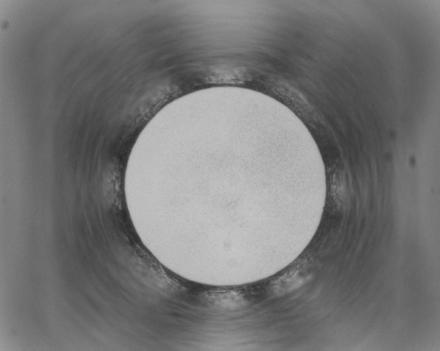 X0000062870322200602101658