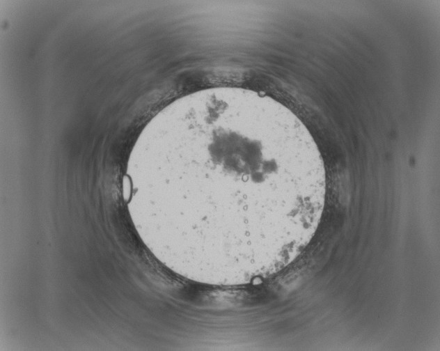 X0000062870323200602101658