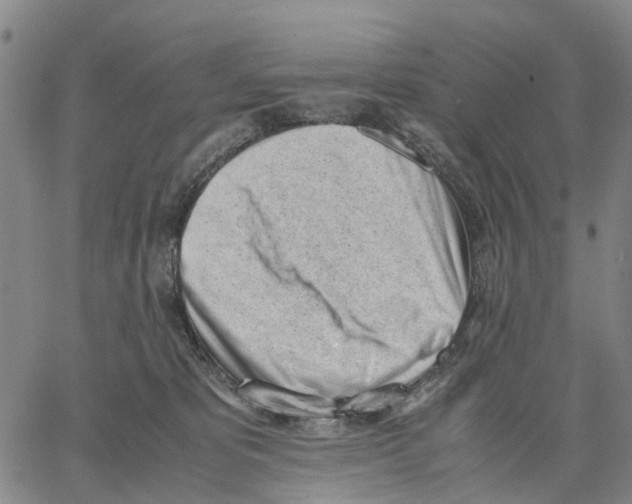 X0000062870325200602101658