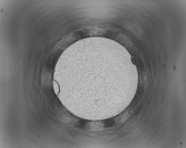 X0000062870327200602101658