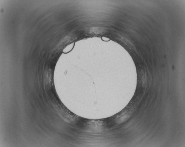 X0000062870328200602101658