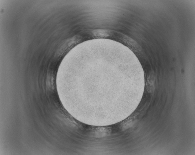 X0000062870330200602101658