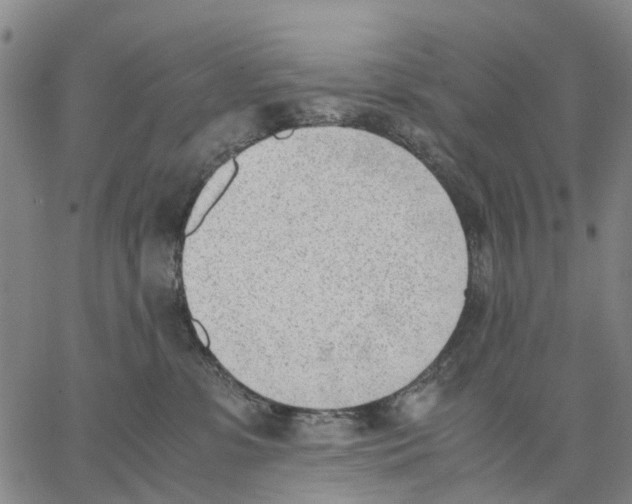 X0000062870331200602101658