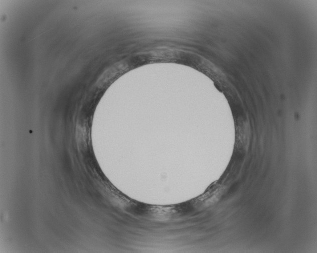 X0000062870333200602101658