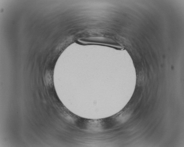 X0000062870335200602101658