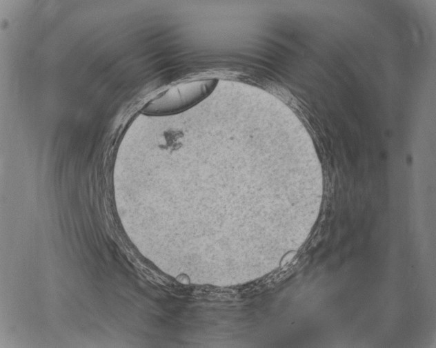 X0000062870337200602101657