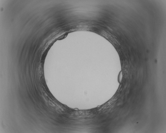 X0000062870338200602101657