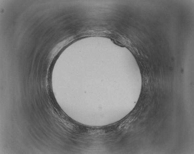 X0000062870340200602101657