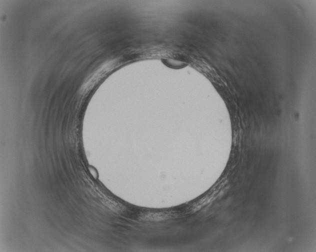 X0000062870341200602101657