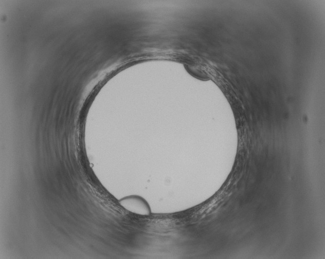 X0000062870342200602101657