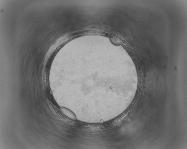 X0000062870343200602101657