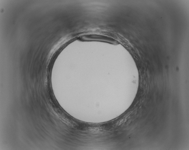 X0000062870344200602101657