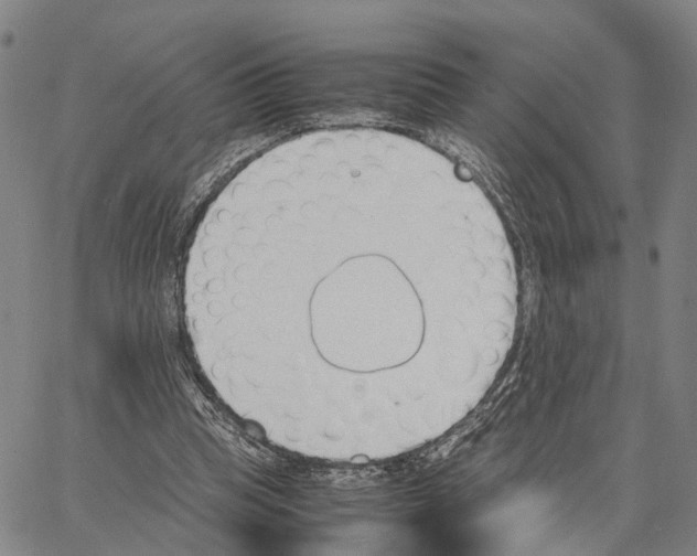 X0000062870345200602101657