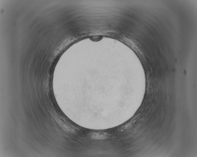 X0000062870346200602101657