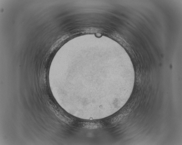 X0000062870347200602101657