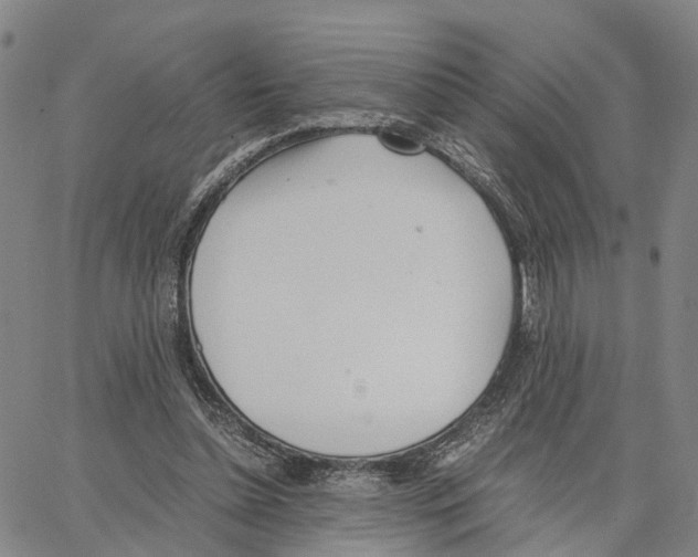 X0000062870348200602101657