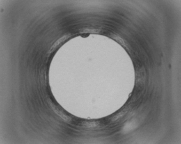 X0000062870349200602101657