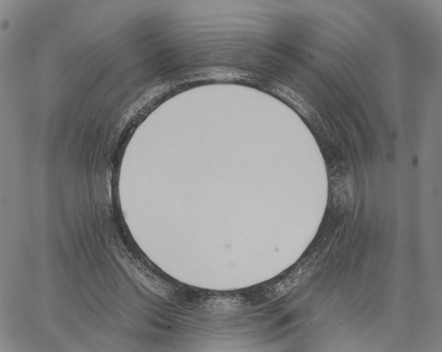 X0000062870350200602101657