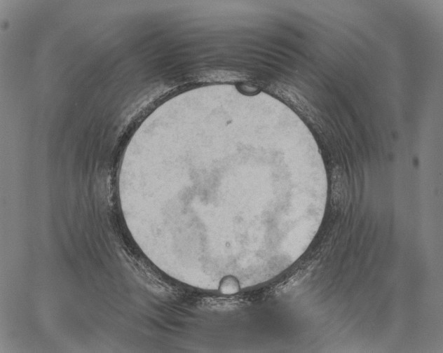 X0000062870351200602101657