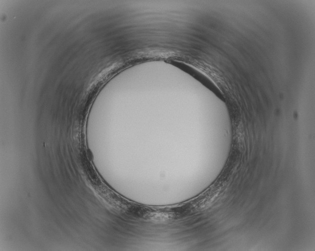 X0000062870352200602101657