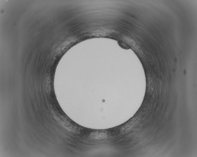 X0000062870354200602101657