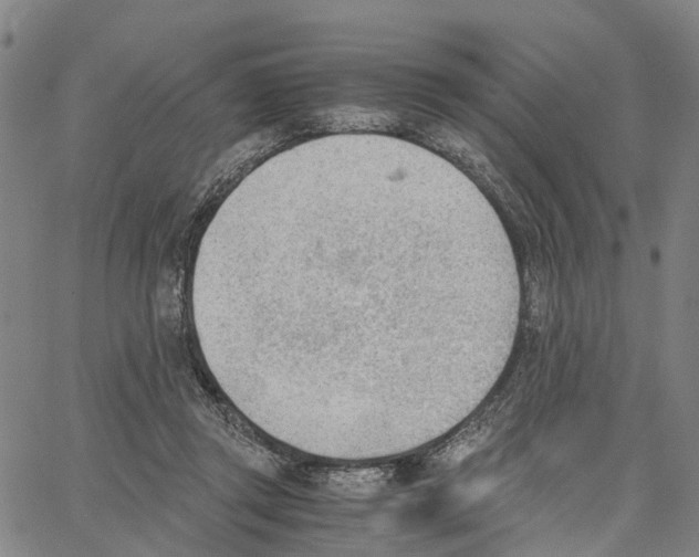 X0000062870357200602101657