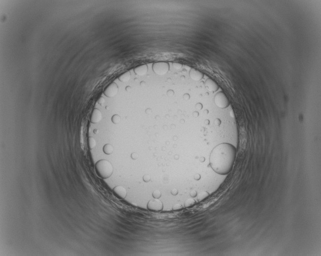 X0000062870358200602101657