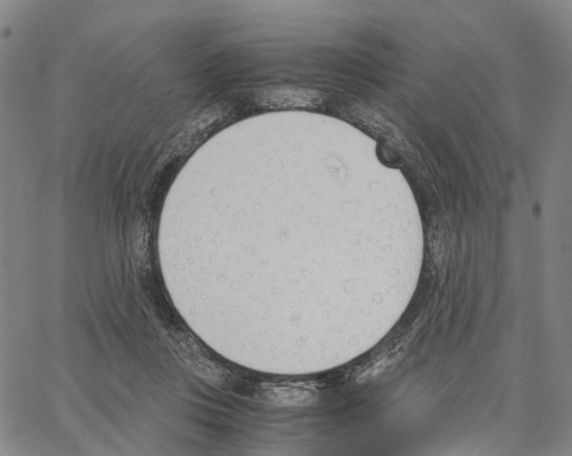 X0000062870359200602101657