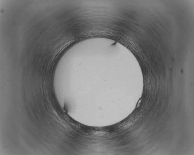 X0000062870360200602101657