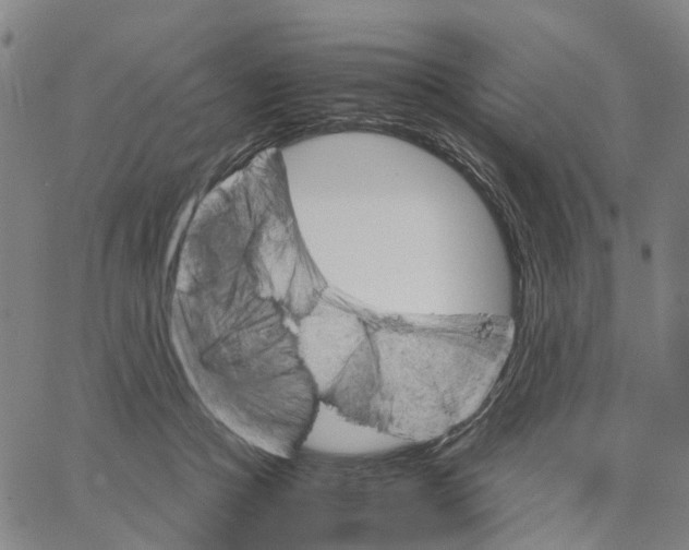 X0000062870361200602101657