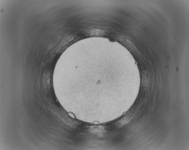 X0000062870363200602101657