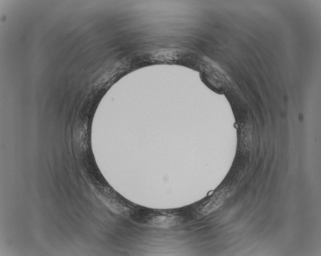 X0000062870364200602101657