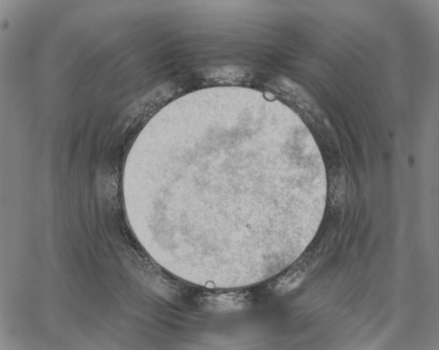 X0000062870365200602101657